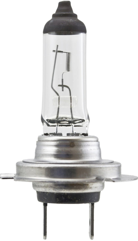 Hella - Hella High Wattage Bulb H7 12V 100W PX26d T4.6 - Demon Performance