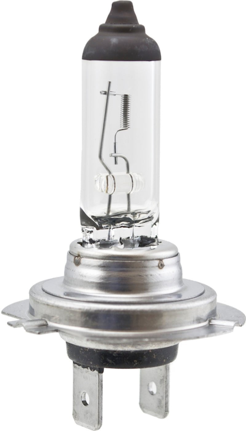 Hella - Hella High Wattage Bulb H7 12V 100W PX26d T4.6 - Demon Performance