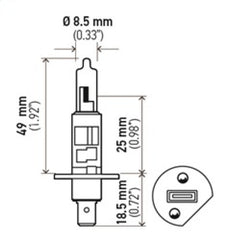 Hella - Hella Optilux H1 100W XB Extreme White Bulbs (Pair) - Demon Performance