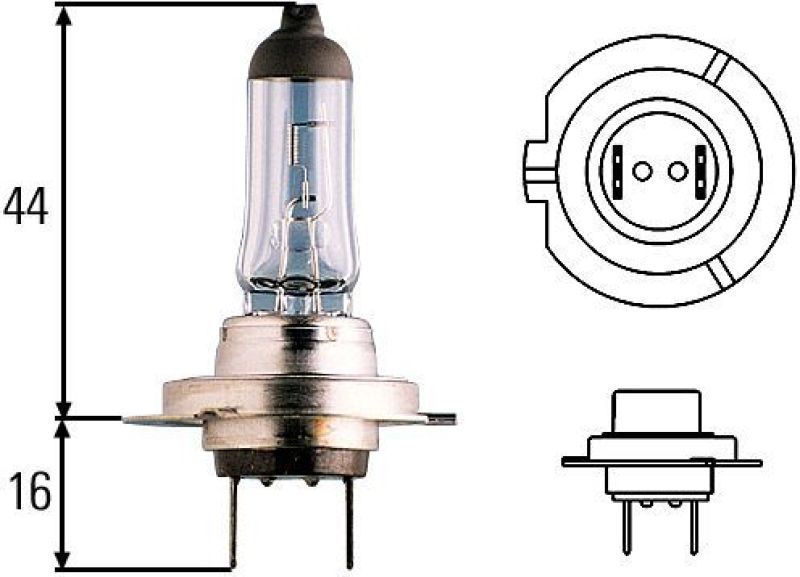 Hella - Hella Optilux H7 100W XB Extreme Blue Bulbs (Pair) - Demon Performance