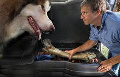 Husky Liners - Husky Liners 02 - 12 Dodge Ram 1500/03 - 12 Ram Quad Cab Husky GearBox - Demon Performance
