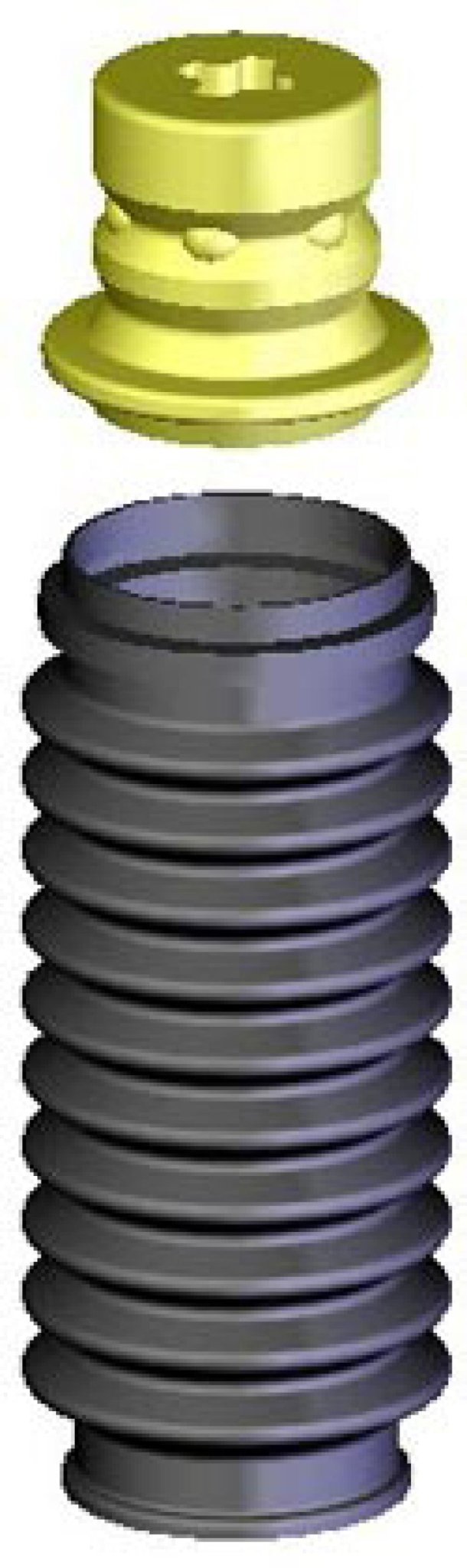 KYB - KYB Shocks & Struts Strut Boots Front & Rear ACURA CL 1997 - 99 ACURA CL 2001 - 03 ACURA EL 1997 - 00 ACUR - Demon Performance