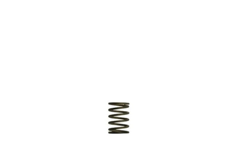 Turbosmart - Turbosmart Gen - V WG38/40 3psi Black Inner Spring - Demon Performance