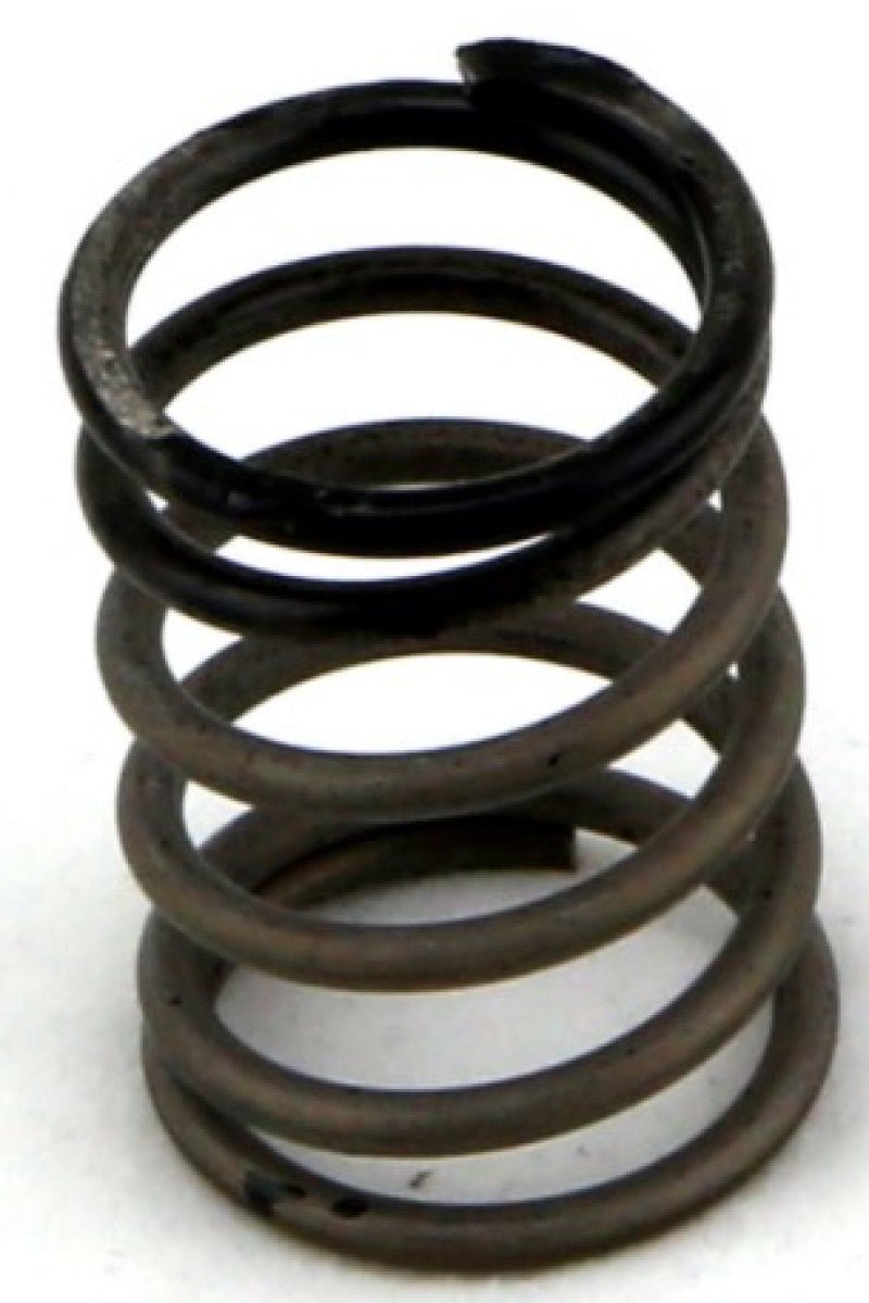 Turbosmart - Turbosmart Gen - V WG38/40 3psi Black Inner Spring - Demon Performance
