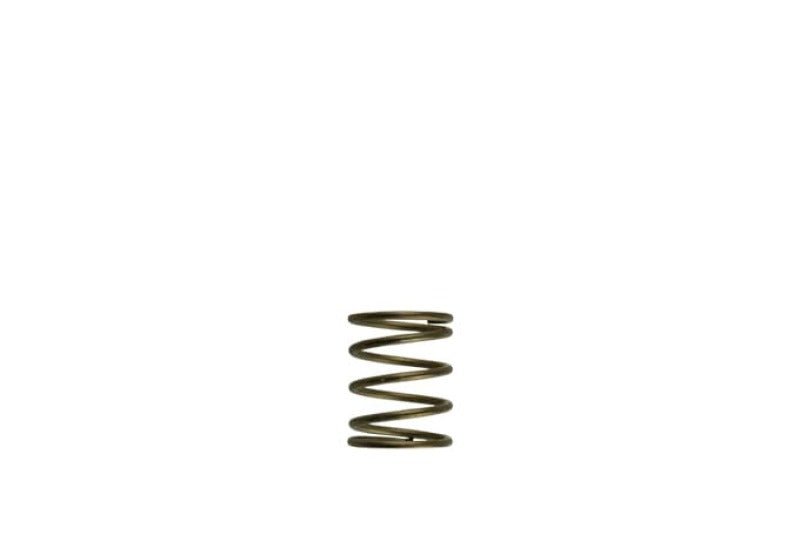 Turbosmart - Turbosmart Gen - V WG45/50 3psi Orange Inner Spring - Demon Performance