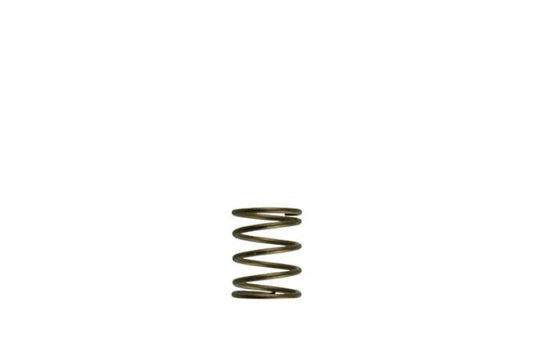 Turbosmart - Turbosmart Gen - V WG45/50 3psi Orange Inner Spring - Demon Performance