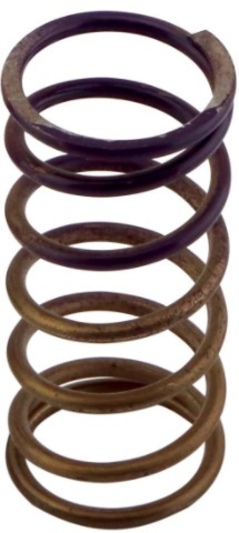 Turbosmart - Turbosmart Gen - V WG60 5psi Purple Inner Spring - Demon Performance
