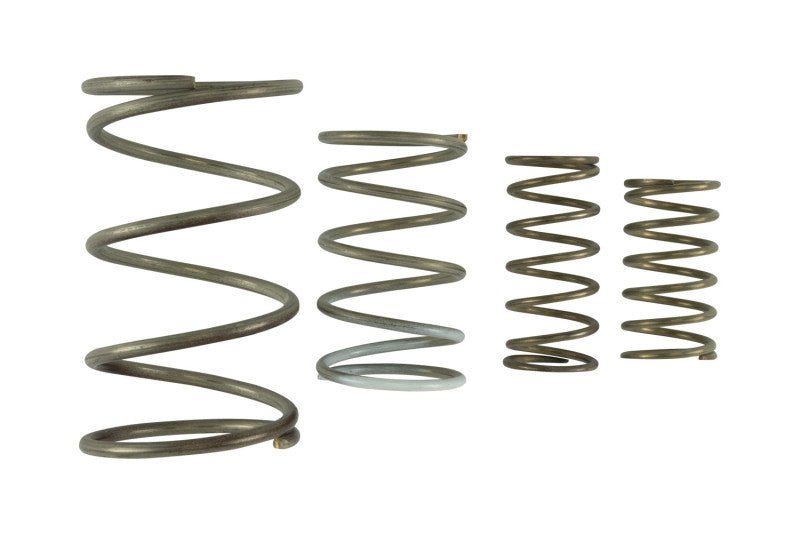 Turbosmart - Turbosmart Gen V WG60 Spring Replacement Kit - Demon Performance