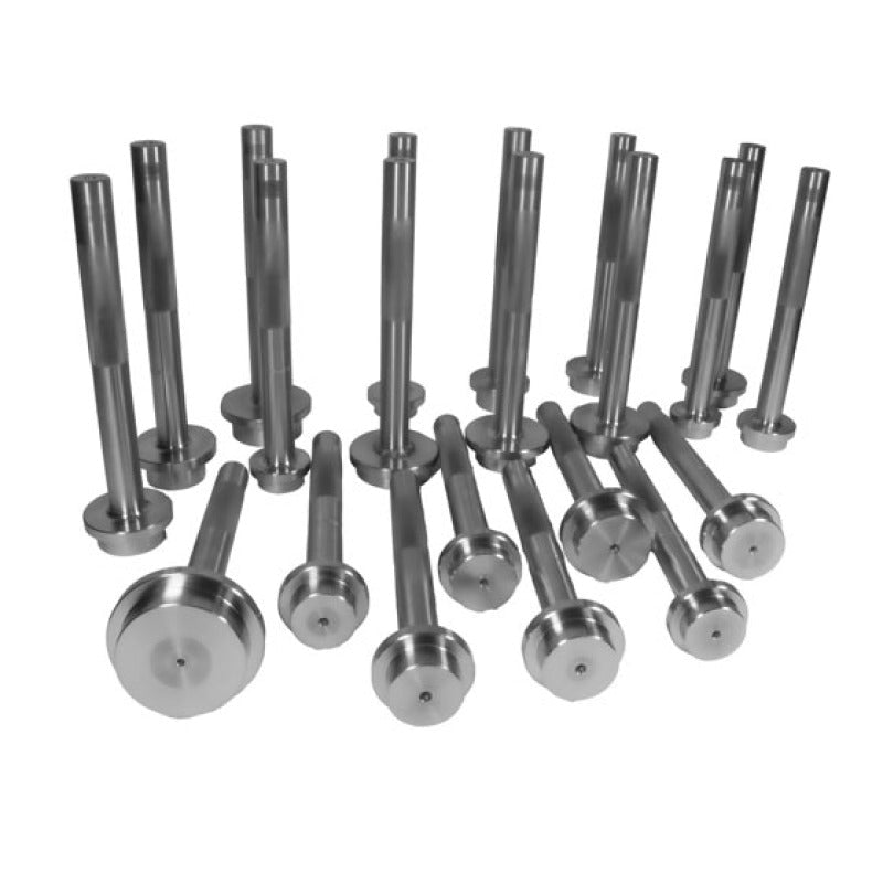 Yukon Gear & Axle - Yukon Gear Bearing Race Driver Set / 21 Piece - Demon Performance
