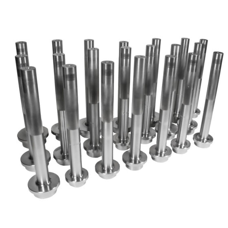 Yukon Gear & Axle - Yukon Gear Bearing Race Driver Set / 21 Piece - Demon Performance
