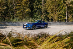 CORSA Performance - Corsa 2015-2020 Ford Mustang GT350/R 5.2L V8 Dual Rear Cat-Back- Stainless Dual Rear Exit - Demon Performance