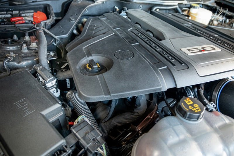 CORSA Performance - Corsa 2018+ Ford Mustang GT Catch Can - Demon Performance