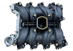 Ford Racing - Ford Racing 01 - 04 Mustang GT 4.6L SOHC 2V Perf Improvement Intake Manifold (Req Manifold Gasket Set) - Demon Performance