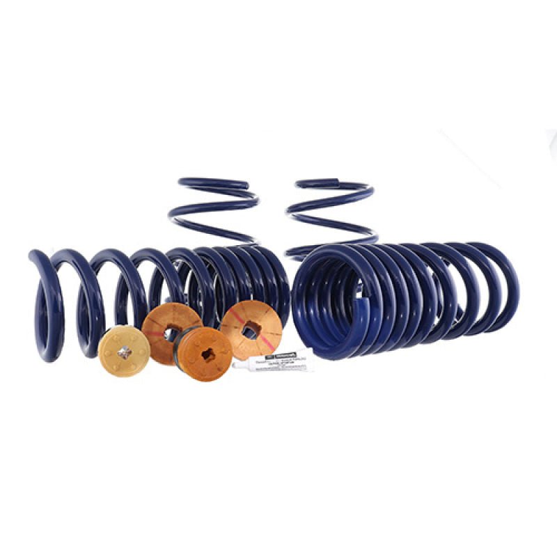 Ford Racing - Ford Racing 15 - 22 Mustang Track Lowering Spring Kit - Demon Performance