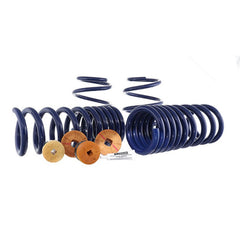 Ford Racing - Ford Racing 15 - 22 Mustang Track Lowering Spring Kit - Demon Performance