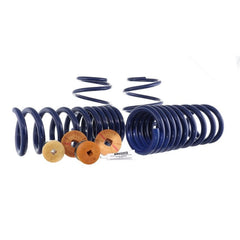 Ford Racing - Ford Racing 15 - 22 Mustang Track Lowering Spring Kit - Demon Performance