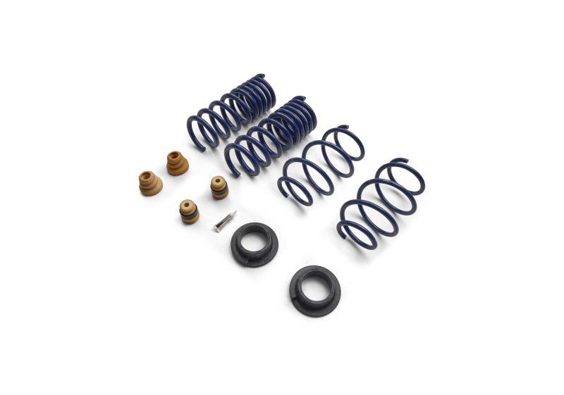 Ford Racing - Ford Racing 15 - 24 Mustang Street Lowering Spring Kit - Demon Performance