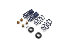 Ford Racing - Ford Racing 15 - 24 Mustang Street Lowering Spring Kit - Demon Performance