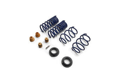 Ford Racing - Ford Racing 15 - 24 Mustang Street Lowering Spring Kit - Demon Performance