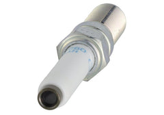 Ford Racing - Ford Racing 21 - 25 F - 150 5.0L Coyote (w/Variable Displacement) Cold Spark Plug Set - Demon Performance