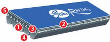 Gates - Gates 1994 - 1985 Nissan Maxima V6 3.0L Racing Performance P.S. & W.P. Belt - Demon Performance