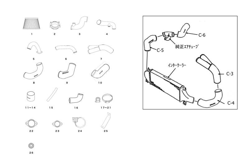 GReddy - GReddy 95-02 Nissan Skyline GT-R BNR33/BNR34 V2 Complete Suction Kit - Demon Performance
