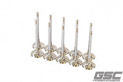 GSC Power Division - GSC P - D Audi DAZA 33.9mm Head STD 104mm Long Chrome Polished Intake Valve - Set of 10 - Demon Performance