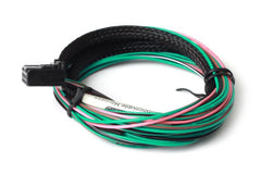 Haltech - Haltech 3ft TCA4 Quad Channel Thermocouple Amplifier Flying Lead Harness - Demon Performance