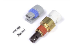 Haltech - Haltech Air Temp Sensor M14 x 1.5 (Incl Delphi Plug & Pins) - Demon Performance