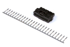 Haltech - Haltech AMP 26 Pin 2 Row Superseal Connector Plug & Pins - Demon Performance