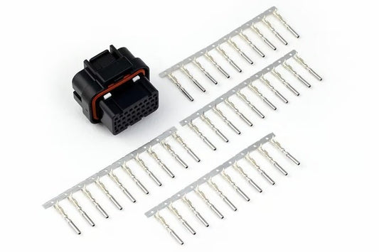 Haltech - Haltech AMP 34 Pin Key 2 4 Row Superseal Connector Plug & Pins - Demon Performance