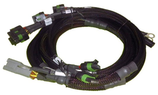 Haltech - Haltech Big Block/Small Block Ford V8 8 Channel Individual High Output IGN - 1A Inductive Coil Harness - Demon Performance