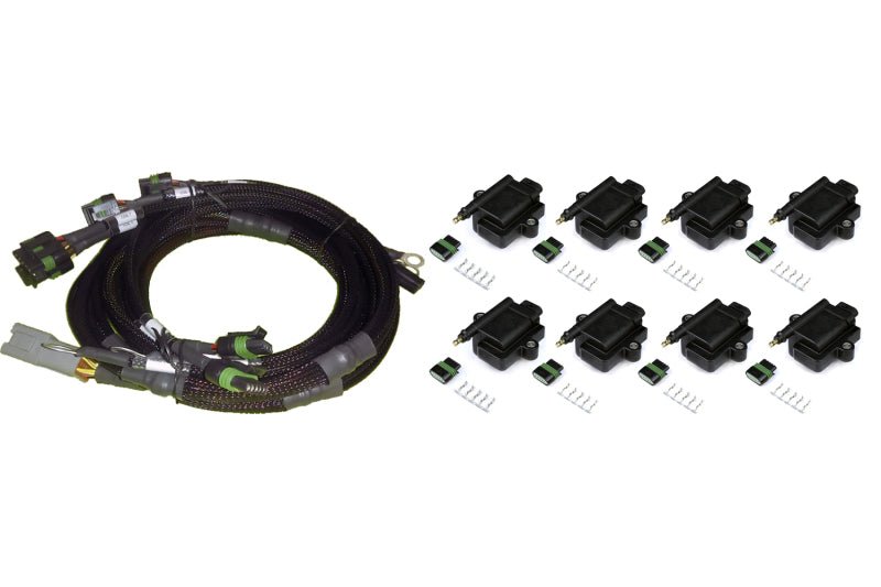 Haltech - Haltech Big/Small Block Ford V8 8 Channel Individual High Output IGN - 1A Inductive Coil & Harness Kit - Demon Performance