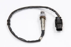 Haltech - Haltech Bosch LSU 4.9 Wideband Sensor - Demon Performance