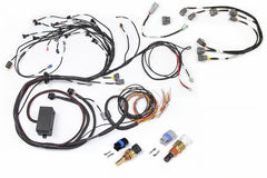 Haltech - Haltech (CAS Breakout/Late Ignition) Elite 2000/2500 Plug - n - Play Adapter Harness - Demon Performance
