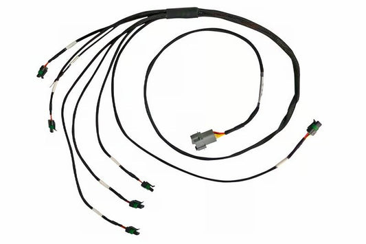 Haltech - Haltech Elite 2000/2500 Universal Inline 6 Cyl High Output IGN - 1A Inductive Coil Ignition Harness - Demon Performance