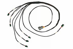 Haltech - Haltech Elite 2000/2500 Universal Inline 6 Cyl High Output IGN - 1A Inductive Coil Ignition Harness - Demon Performance