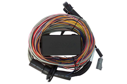 Haltech - Haltech Elite 750 8ft Premium Universal Wire - In Harness - Demon Performance