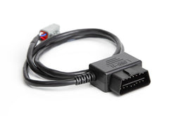 Haltech - Haltech Ford MK1 Radio DTM4 CAN to OBDII CAN Cable - 2.6ft - Demon Performance