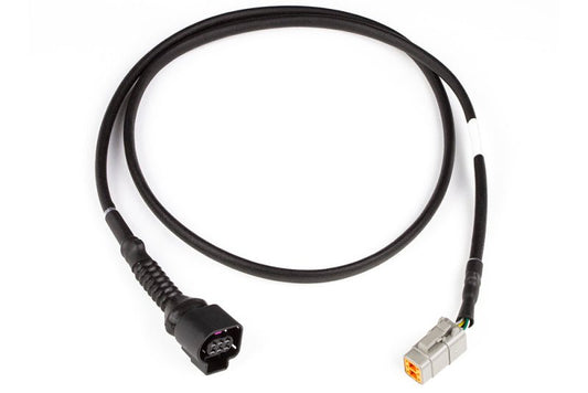 Haltech - Haltech LSU4.9 Wideband Adaptor Harness LSU4.9 to DTM6 - Demon Performance