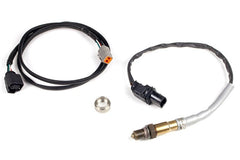 Haltech - Haltech LSU4.9 Wideband Hardware Pack - Demon Performance