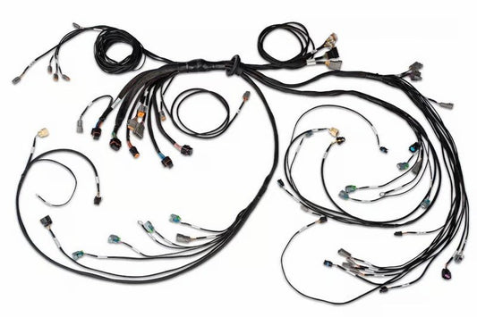 Haltech - Haltech Nexus R5 LSx DBW Terminated Harness - DBW Ready (Injector Connector: EV6) - Demon Performance
