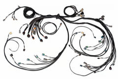 Haltech - Haltech Nexus R5 LSx DBW Terminated Harness - DBW Ready (Injector Connector: EV6) - Demon Performance