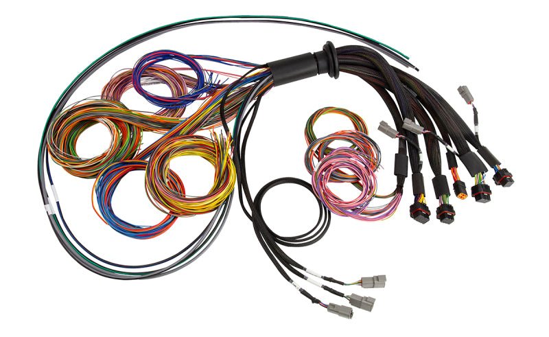 Haltech - Haltech NEXUS R5 Universal Wire - In Harness - 2.5M (8ft) - Demon Performance