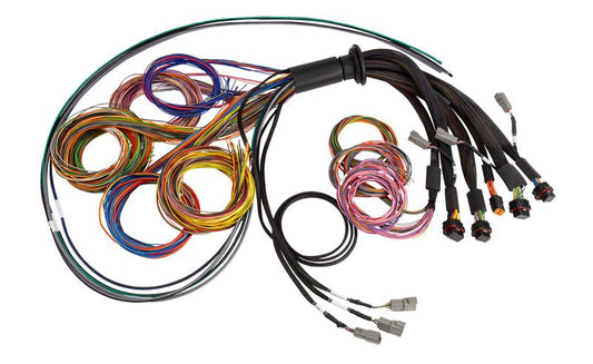 Haltech - Haltech NEXUS R5 Universal Wire - In Harness - 2.5M (8ft) - Demon Performance