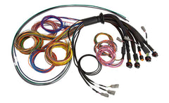 Haltech - Haltech NEXUS R5 Universal Wire - In Harness - 2.5M (8ft) - Demon Performance
