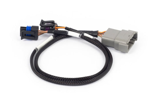 Haltech - Haltech NEXUS Rebel LS Cable Throttle & IAC Sub - Harness (Plug - n - Play w/HT - 186500) - Demon Performance