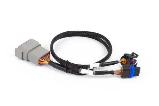 Haltech - Haltech NEXUS Rebel LS Cable Throttle & IAC Sub - Harness (Plug - n - Play w/HT - 186500) - Demon Performance