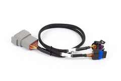 Haltech - Haltech NEXUS Rebel LS Cable Throttle & IAC Sub - Harness (Plug - n - Play w/HT - 186500) - Demon Performance