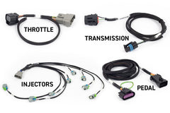 Haltech - Haltech NEXUS Rebel LS Kit (Suits Gen IV) 6 - Pin DBW Throttle/EV6 Injectors/Manual Transmission - Demon Performance